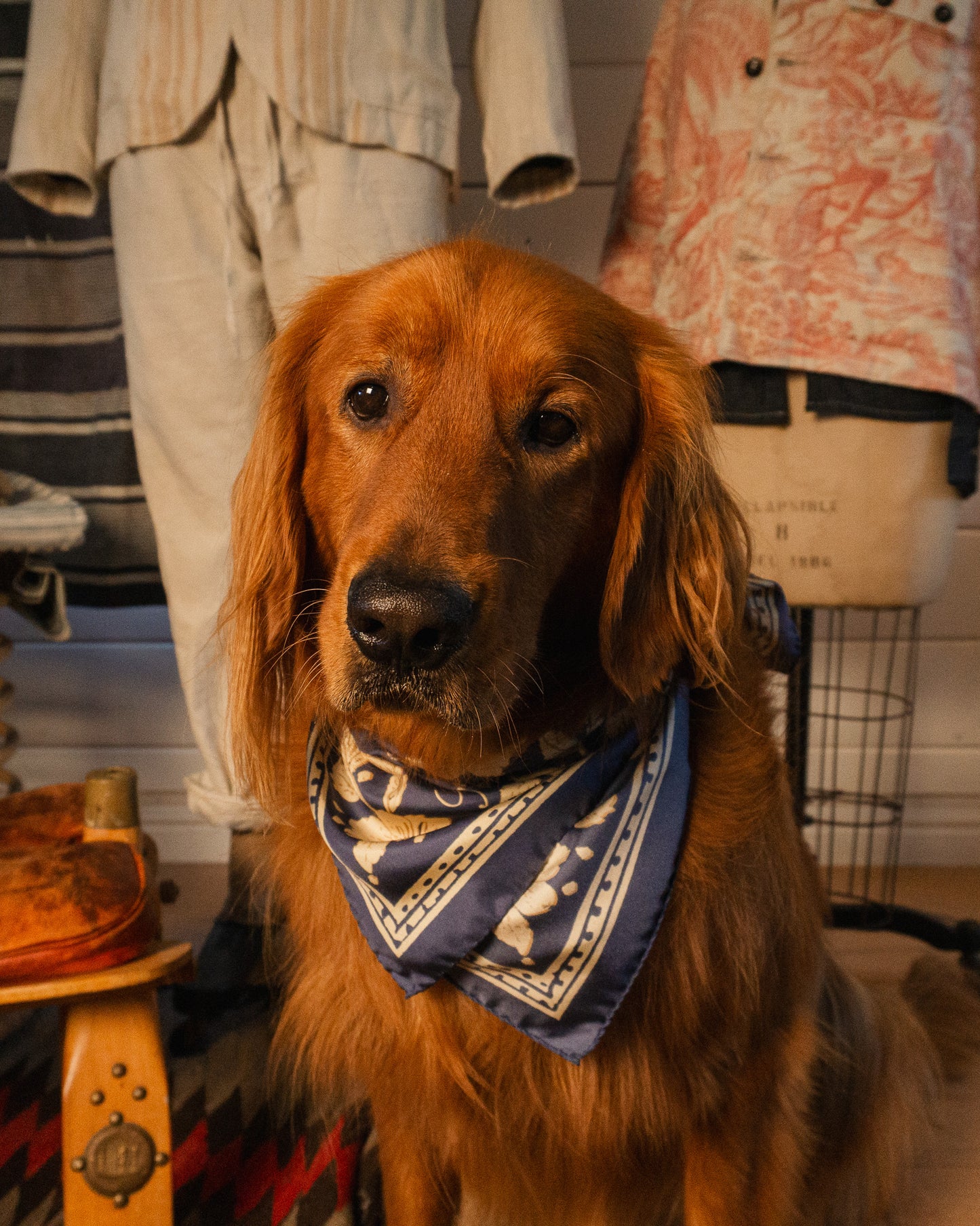 The Silk Scarf (Navy)